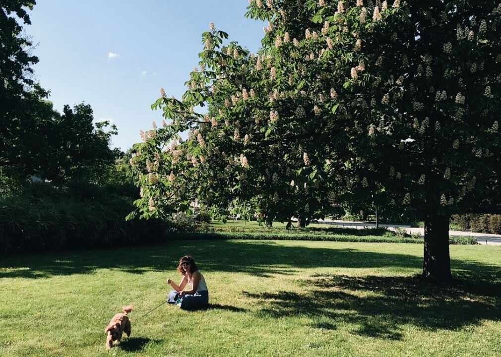 Dog Park Best Practices for New Pet Owners | Pets 46 learn the rules